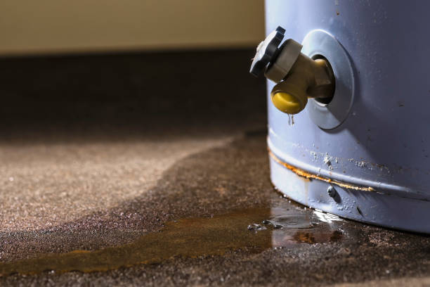 Best 24-hour water damage restoration  in Waverly, NE