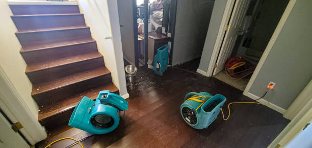 Best Carpet water damage restoration  in Waverly, NE