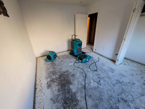 Best Mold removal after water damage  in Waverly, NE