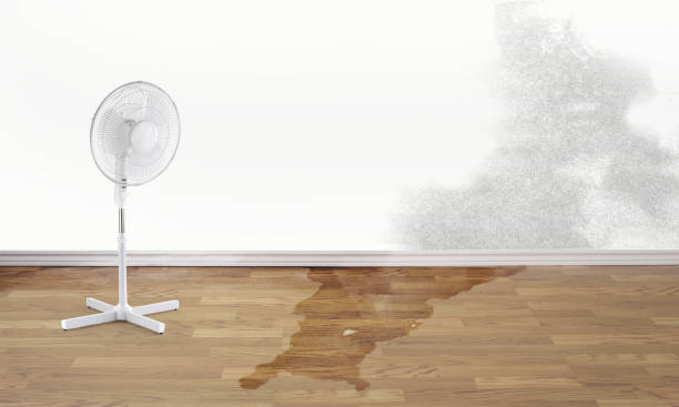 Best Emergency water damage restoration  in Waverly, NE