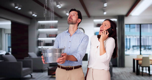 Water damage restoration experts in NE