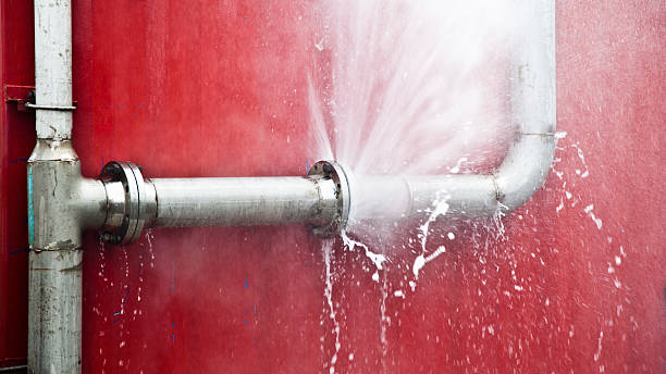 Best Water damage cleanup near me  in Waverly, NE