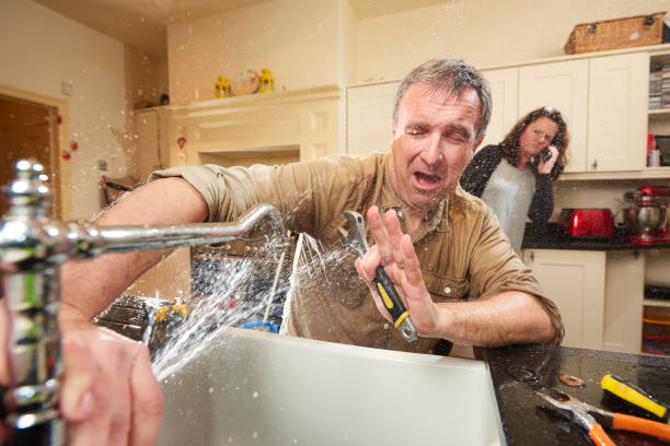 Best Flood restoration services  in Waverly, NE
